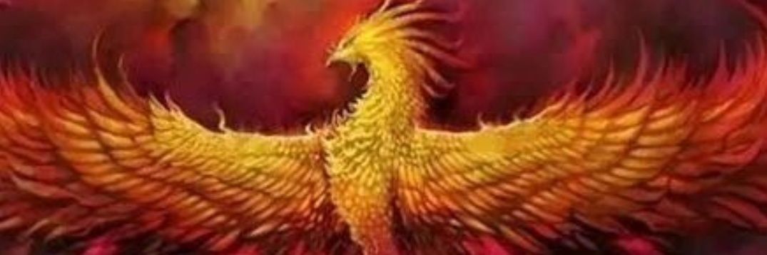 ekrem_erdal's profile banner image