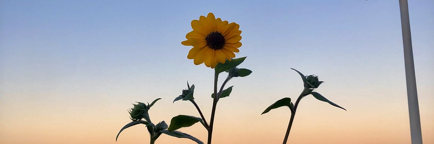 GuadaBigon's profile banner image