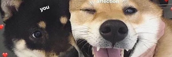 htxintern Profile Banner