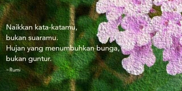 Arif banner