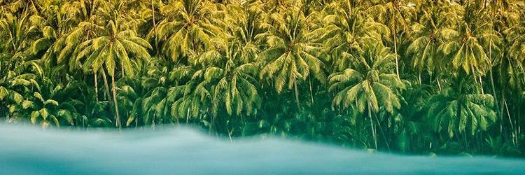 _AleVidal's profile banner image