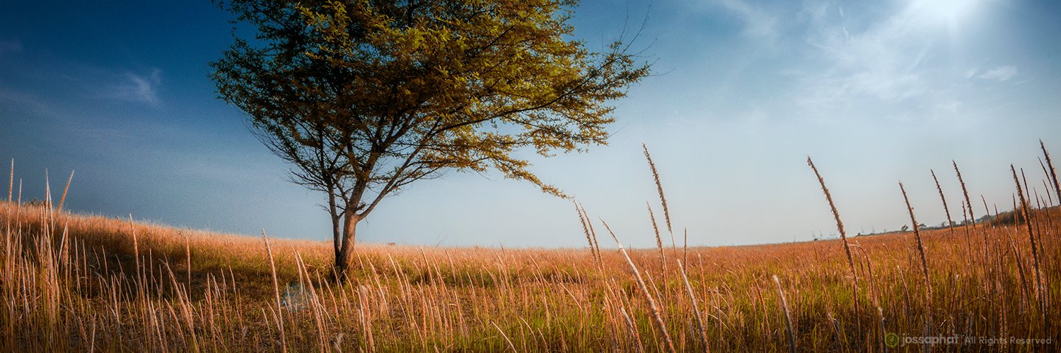 dearjossaphat's profile banner image
