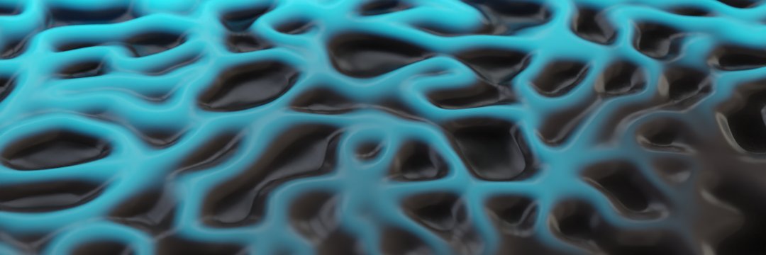 David Cescatti banner