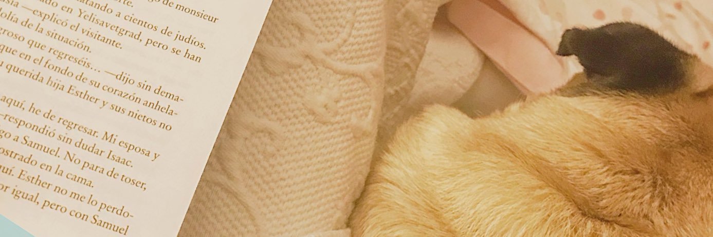 Laura Pérez Martín banner