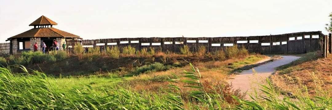 Prithwidip Saha banner