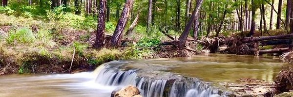 river_is_nice Profile Banner