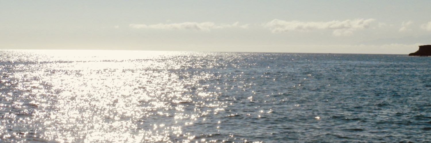 _micchi_0's profile banner image