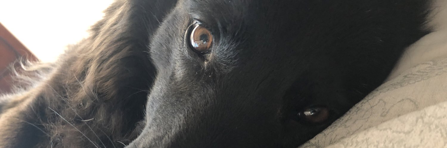 Christy B banner
