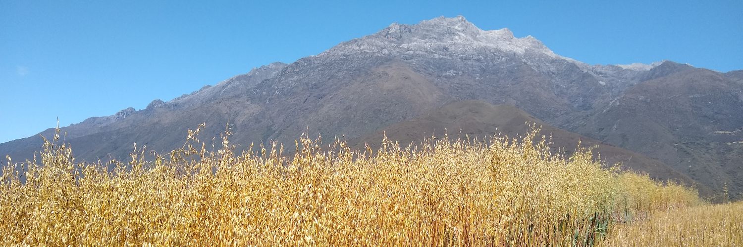 ManriqueJoseA's profile banner image