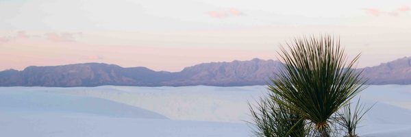 dvfraser's profile banner image