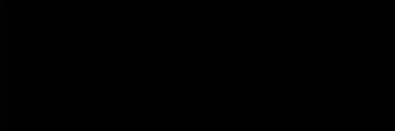 _Eirfannn's profile banner image