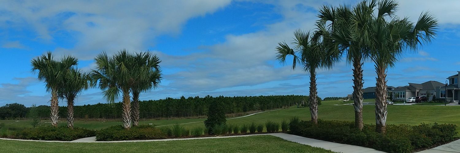 Mayra Linares banner