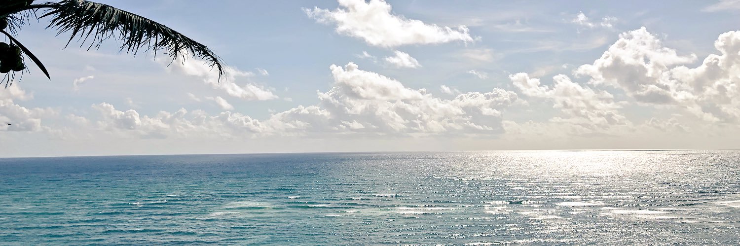 TarBear0613's profile banner image