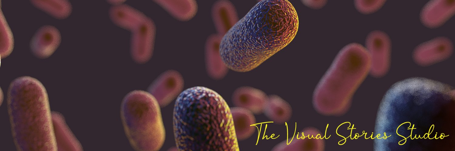 Disha- The Visual Stories Studio banner