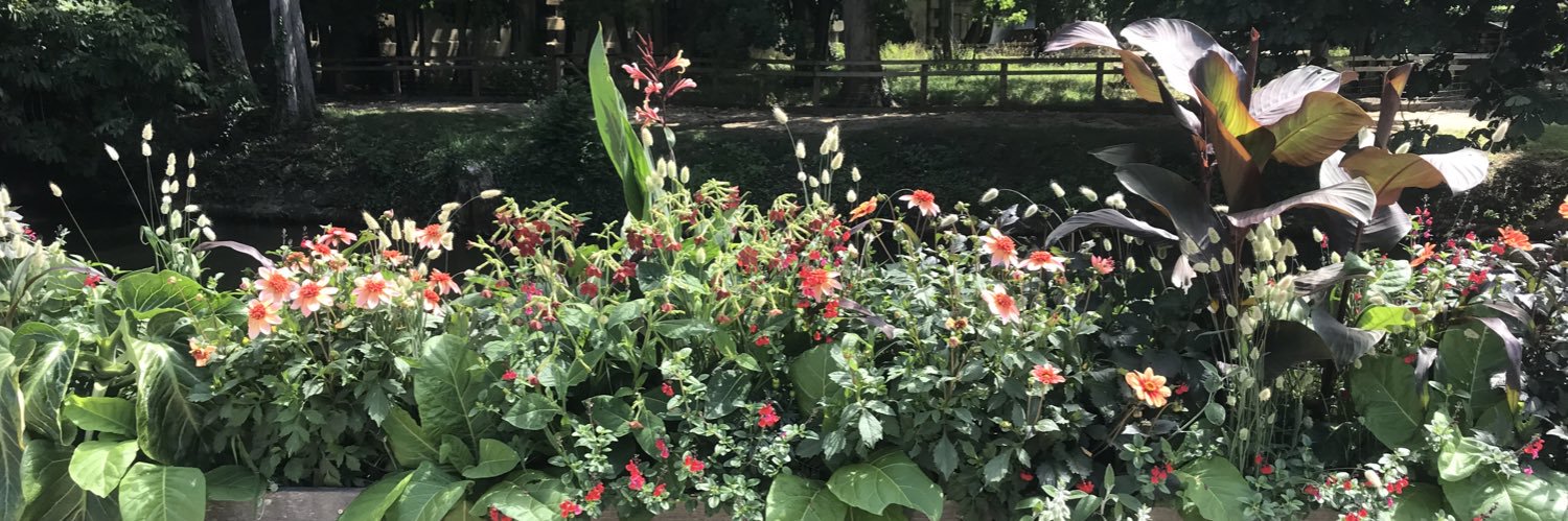 Rebecca DeLozier banner