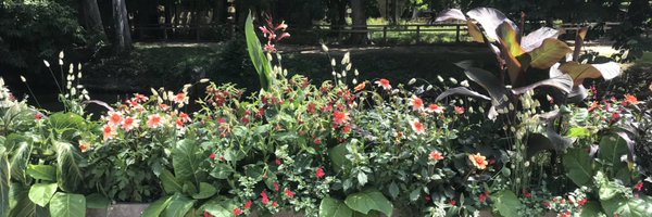 BexBMe Profile Banner