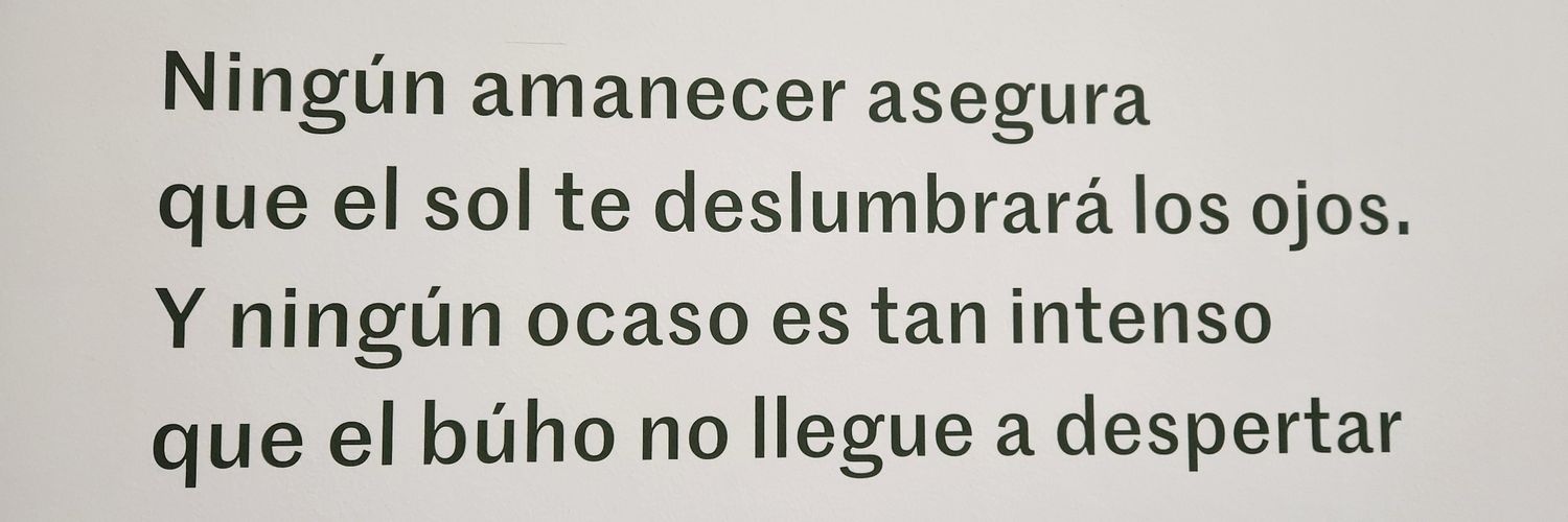 Adrián MoRo banner