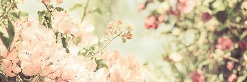sa_9006's profile banner image