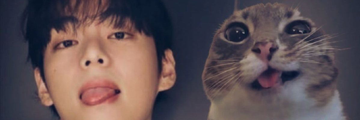 Iriz⁷ banner