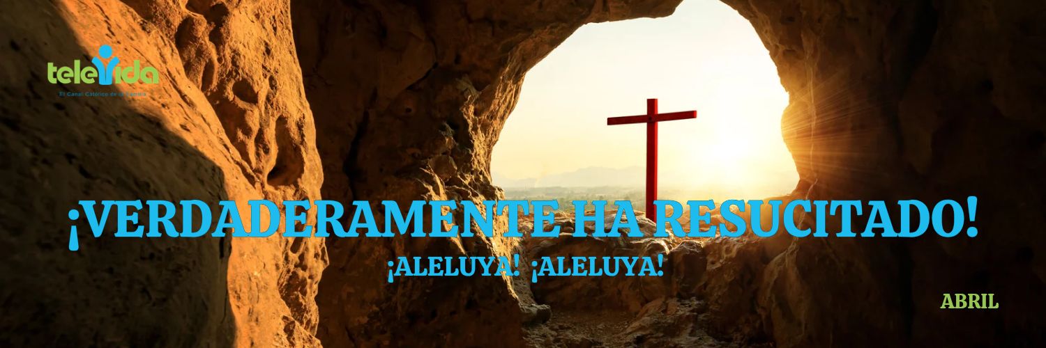 Televida Canal 41 banner