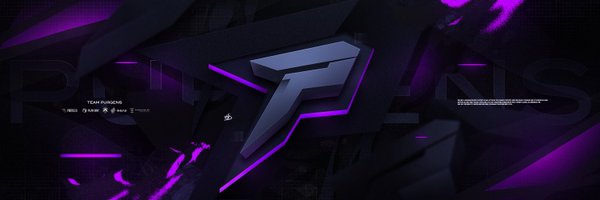 TeamPurgens Profile Banner
