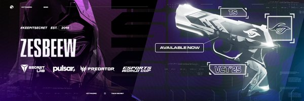 ZesBeeW Profile Banner