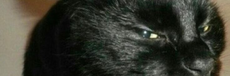 10010101110_'s profile banner image