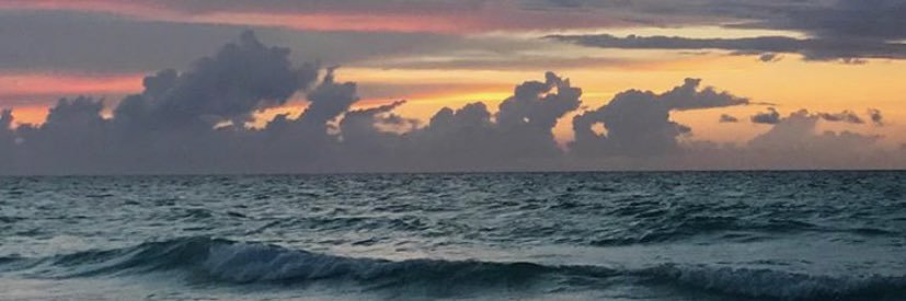 camimej99's profile banner image