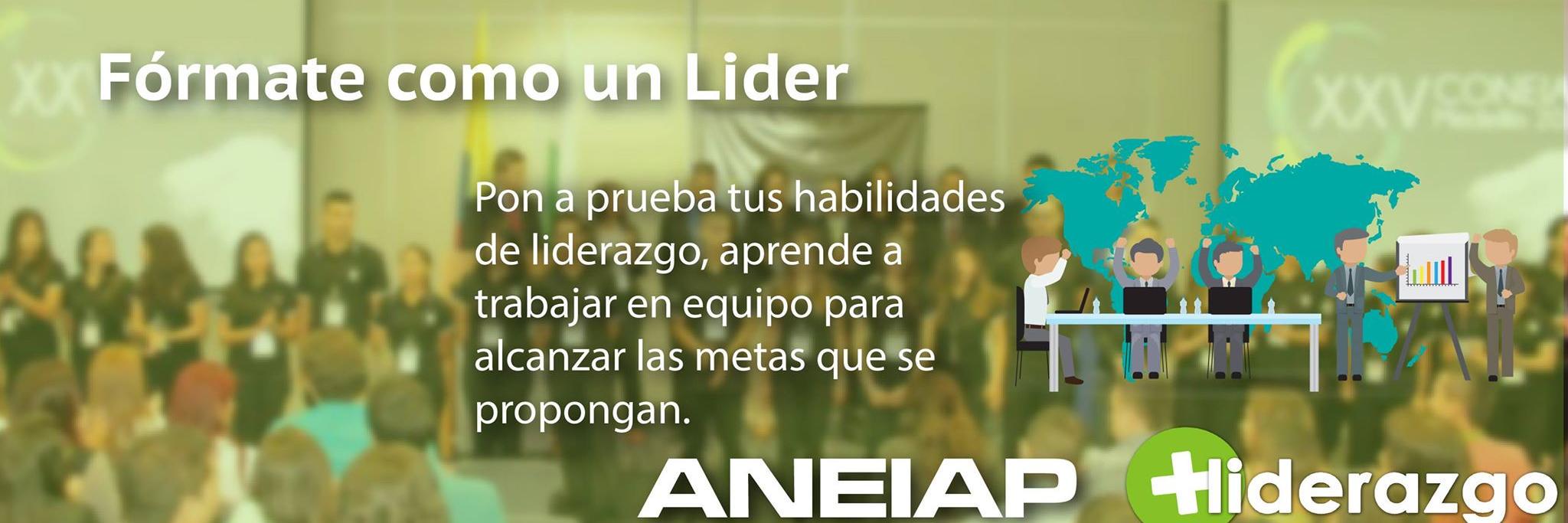 ANEIAPCO's profile banner image