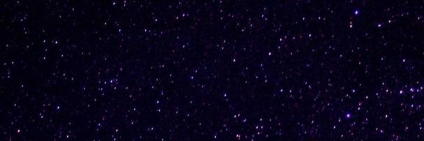 Bea🍄 banner