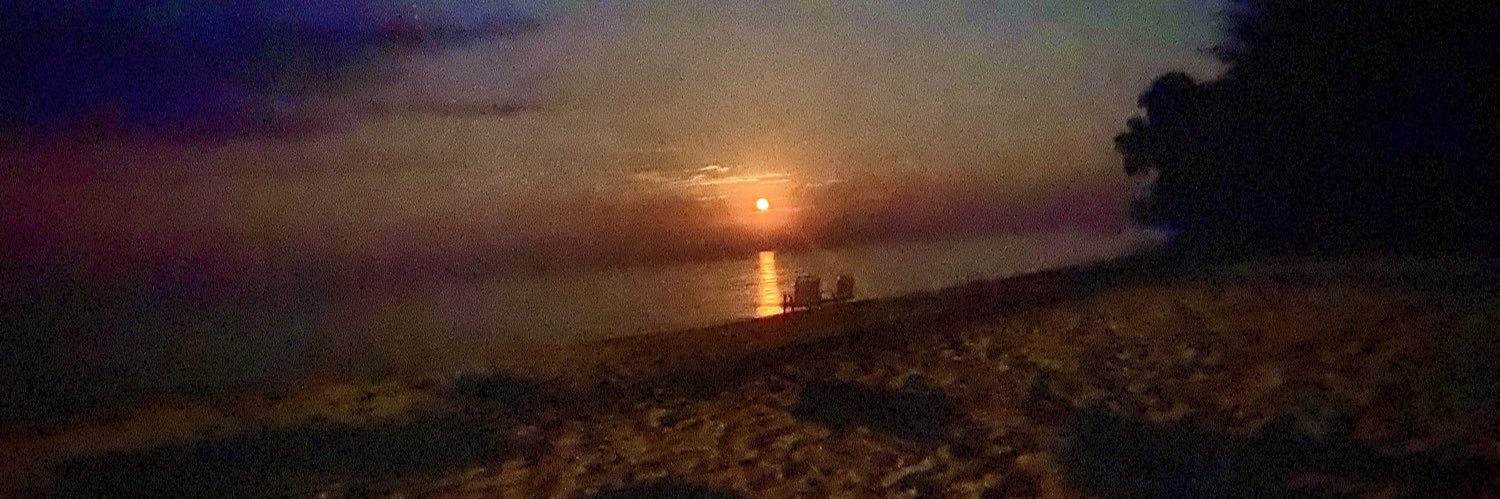 cognitive dissident ❤️‍🔥 banner