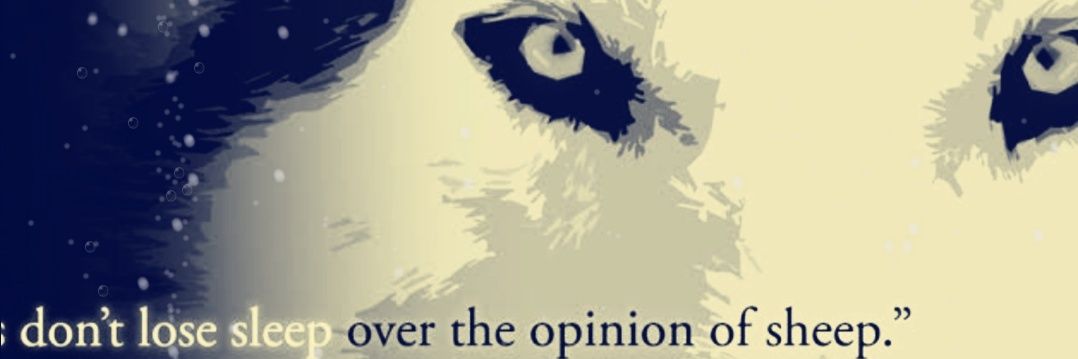 254cloudkenya's profile banner image