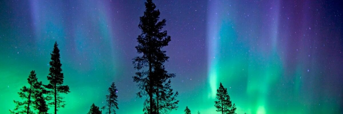ihferrer's profile banner image
