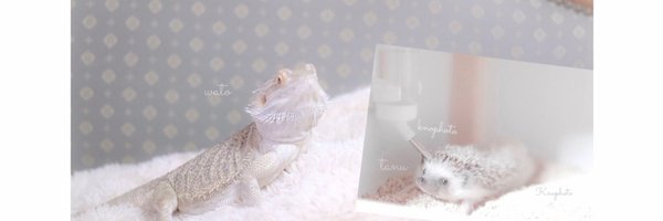 01n_t Profile Banner