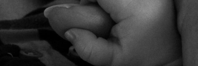 Becky Williams banner