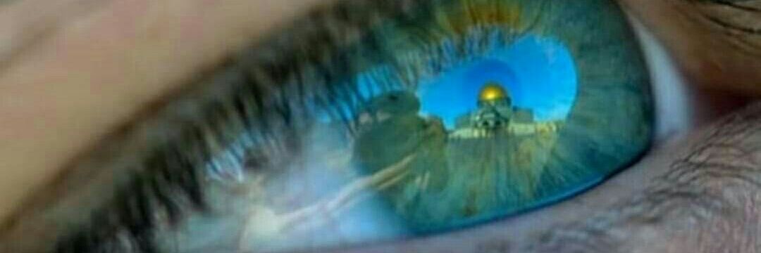 ƒιямαη_αнмα∂ banner