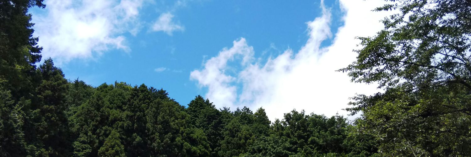 227383's profile banner image