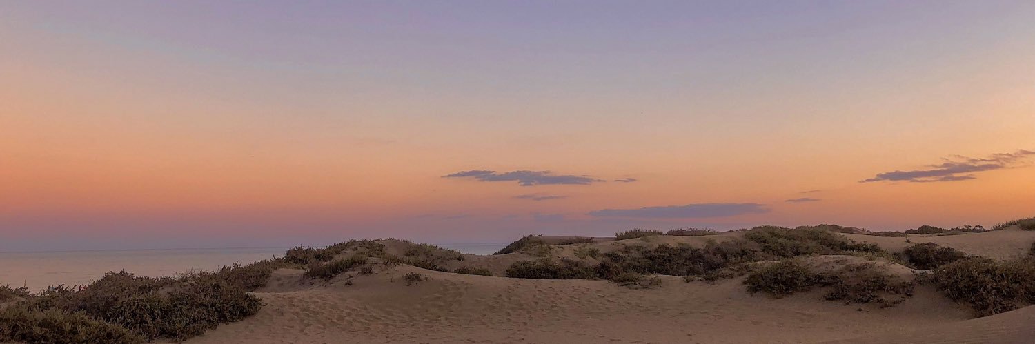 ♡𝒟💐 banner