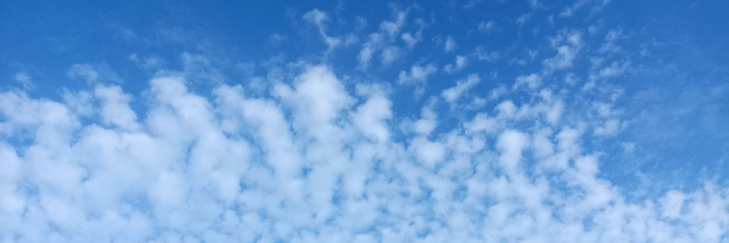 flyingchikkin banner