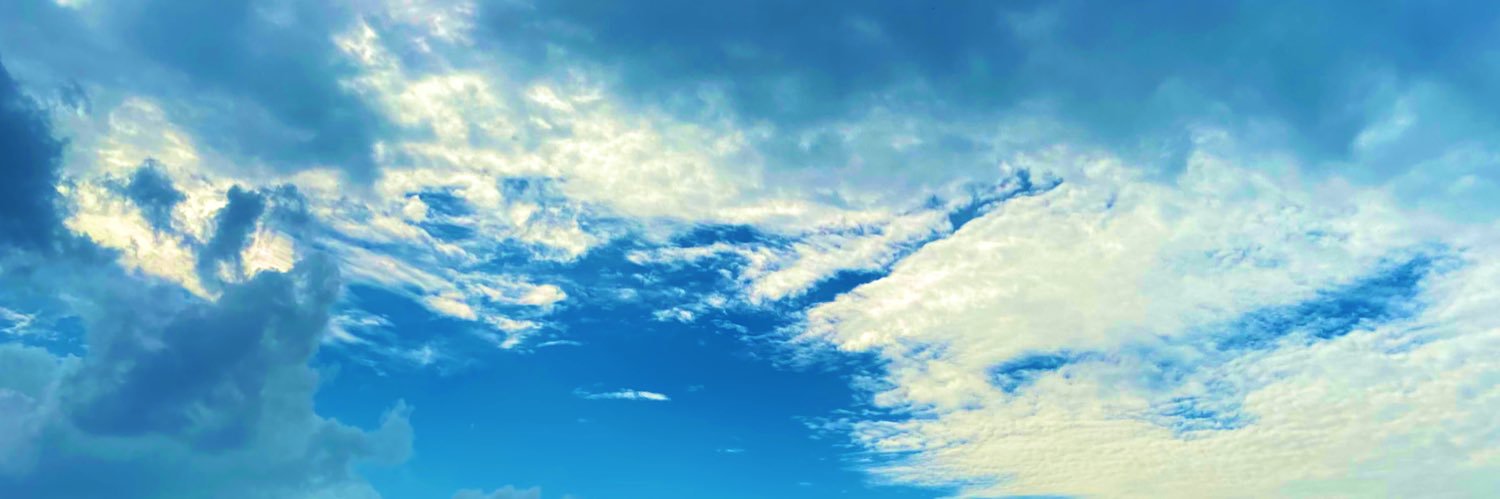 ぽこの助 banner