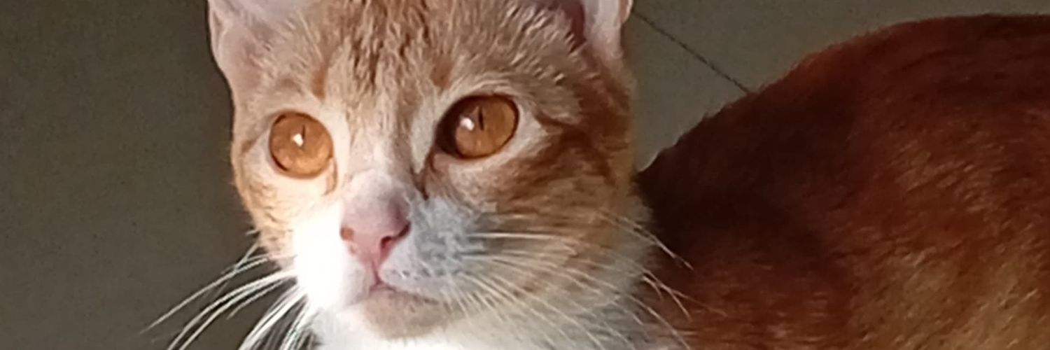 angeldevalencia's profile banner image
