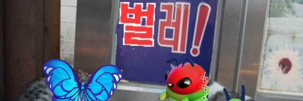 싹쑤🐛's banner