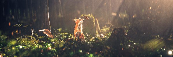 Fiblyy Profile Banner