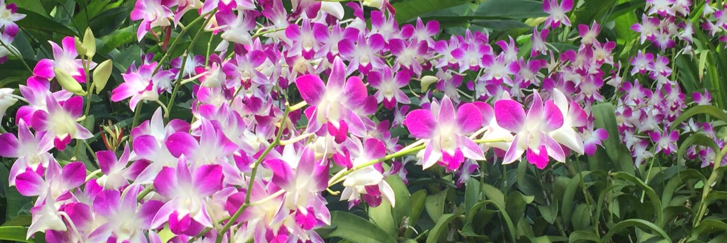 RamosPep's profile banner image
