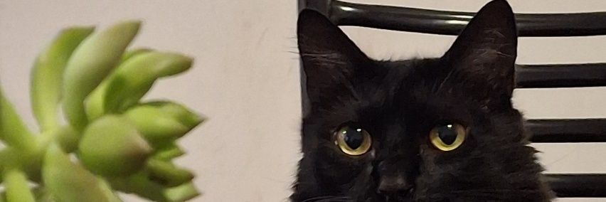 yilsx's profile banner image