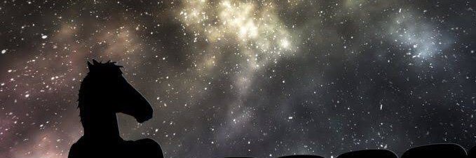 MauBarrazaa's profile banner image