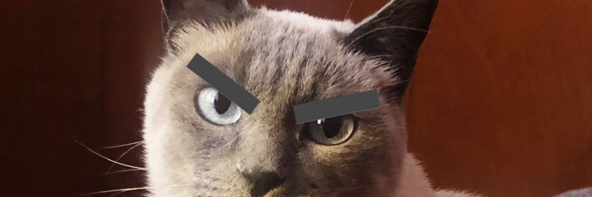 tottenhamed's profile banner image