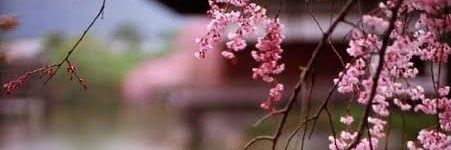 emrullahciftci_'s profile banner image