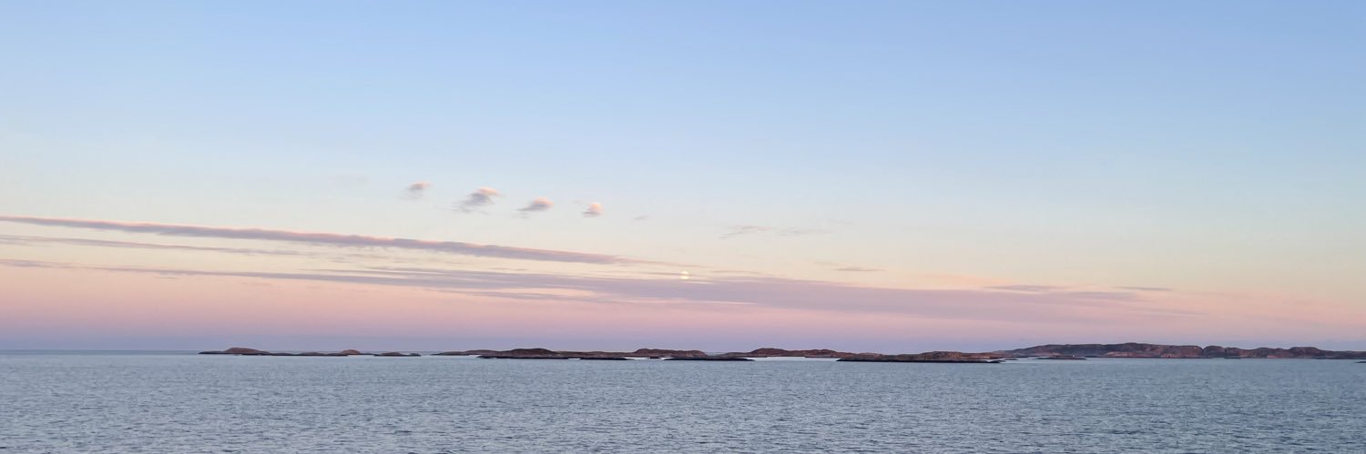 sunflowerxmarie's profile banner image