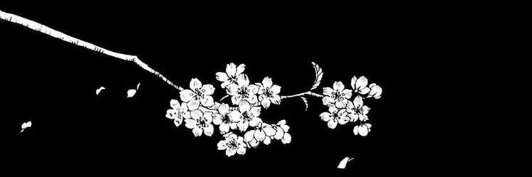 SaraAlotaibi232's profile banner image